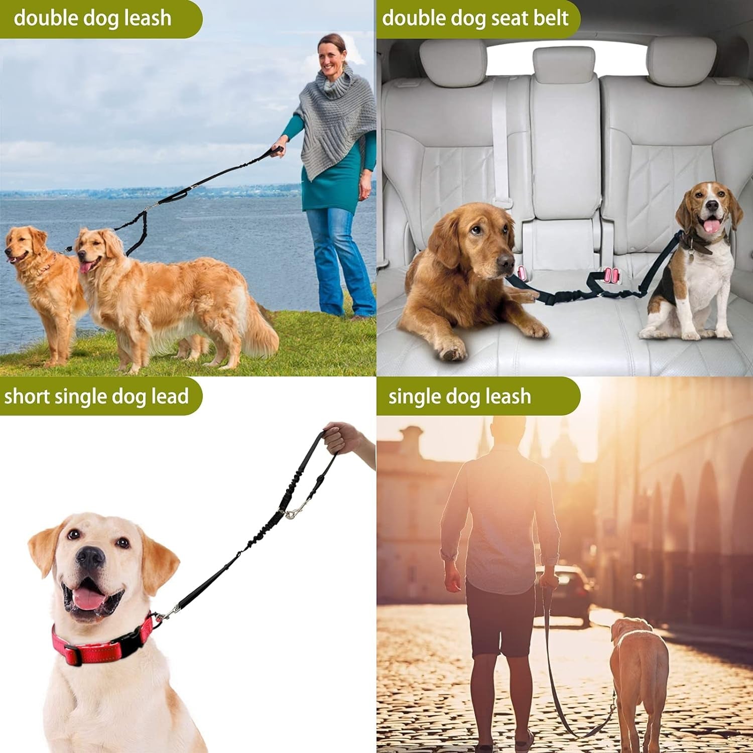 Adjustable 360° Tangle-Free Double Dog Leash for Small, Medium, and Large Dogs - Ideal for Walking and Training (Black)